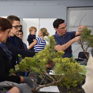 Održana je bonsai radionica